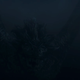 No estoy bromeando; esto se supone que es visible
Captura: HBO